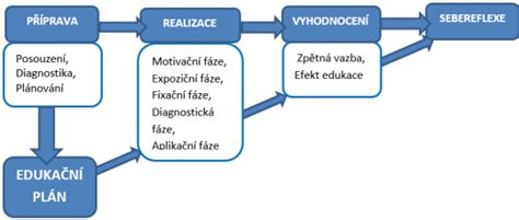 Schéma vzdelávacieho procesu pacienta v spolupráci s diabetológom