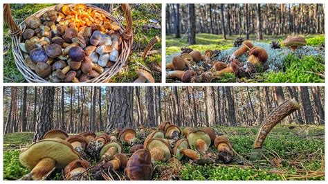 Tematické foto s rôznymi druhmi príloh a zavináčom na stole