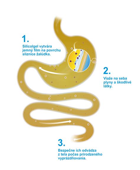 Infografika: Zloženie čierneho čaju a jeho kľúčové bioaktívne látky