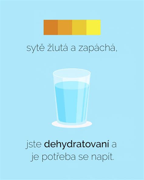 infografika znázorňujúca základné princípy dvojtýždňovej diéty (vylúčenie cukru, soli, pitný režim)