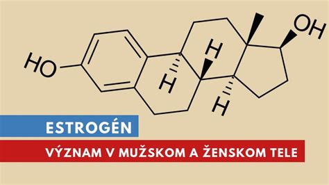 Schéma: Význam testosterónu v mužskom tele