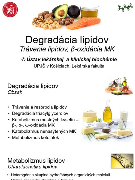 Schéma hlavných metabolických dráh sacharidov, lipidov a bielkovín