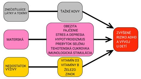 Ilustrácia rôznych faktorov ovplyvňujúcich metabolizmus.