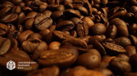 Zrnká zelenej kávy Arabica na sitku, pripravené na spracovanie