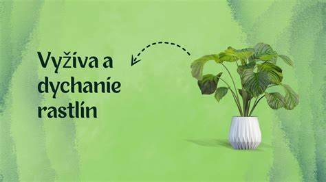 Schéma kolobehu dusíka v pôde a jeho asimilácia koreňovým systémom rastlín