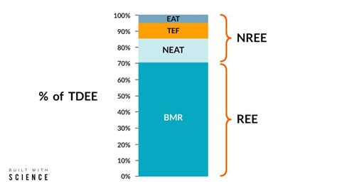 schéma výpočtu BMR a TDEE s príkladmi