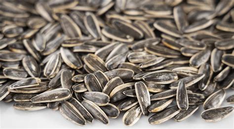 Zblízka slnečnicové semienka v škrupine a vylúpané jadrá