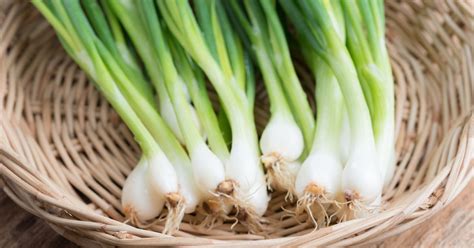 Proces pestovania jarnej cibuľky