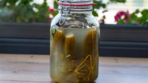 Ilustrácia pohára s uhorkovou šťavou