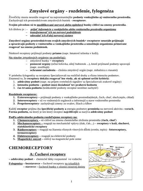 Infografika: Rozdiel medzi podkožným a viscerálnym tukom s piktogramami orgánov.