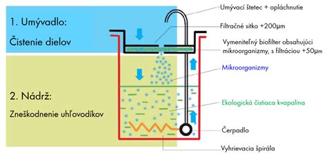 Schéma: Prierez ľudským telom s vyznačením umiestnenia viscerálneho tuku okolo orgánov.