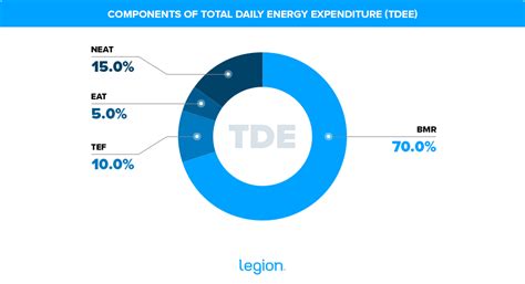 infografika: zložky celkového denného výdaja energie (TDEE)