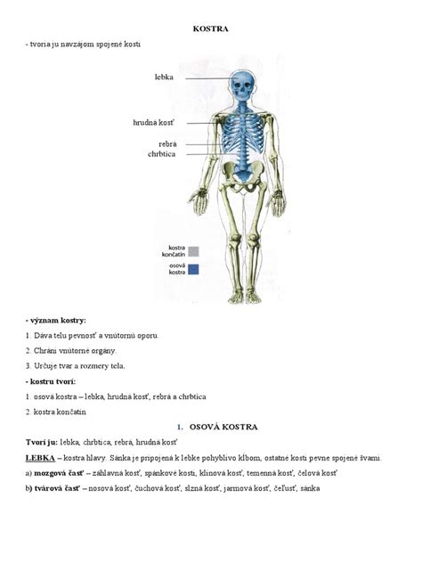 schéma porovnania postavy kulturistu a bežného človeka s rovnakým BMI, demonštrujúca rozdiel medzi svalmi a tukom