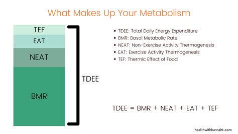 Infografika znázorňujúca zložky metabolizmu: BMR, TEF, EAT a NEAT