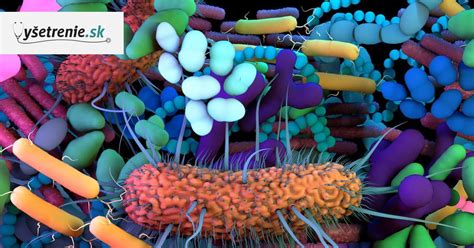 Grafické znázornenie vplyvu stravy na črevný mikrobióm