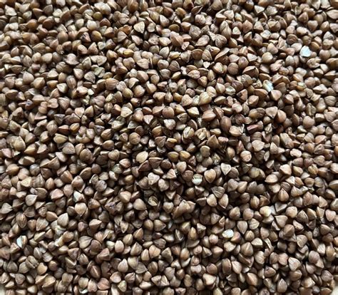 Naklíčená pohánka v miske