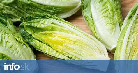 Rôznorodé druhy listovej zeleniny ako základ pre zdravý šalát