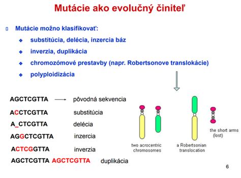 Schéma genetickej mutácie vedúcej k monogénnej obezite
