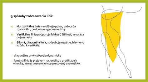 Infografika znázorňujúca základné prvky kulturistického oblečenia: tričká, šortky, legíny a stabilizačné doplnky
