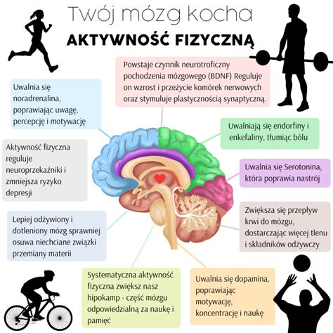 Infografika: Joga a chudnutie - mechanizmy účinku (metabolizmus, hormóny, stres, kalórie)