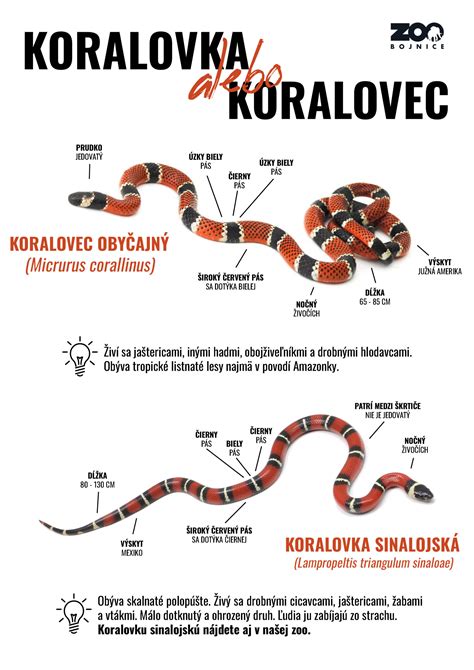 Nákres alebo infografika rôznych typov odšťavovačov (šnekový, odstredivý) a ich výhod
