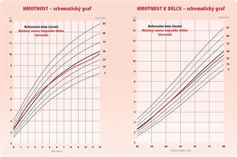 Infografika: Rastové krivky a percentilové grafy pre deti