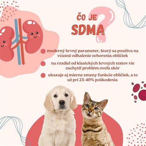 ilustrácia mačky s prejavmi ochorenia obličiek