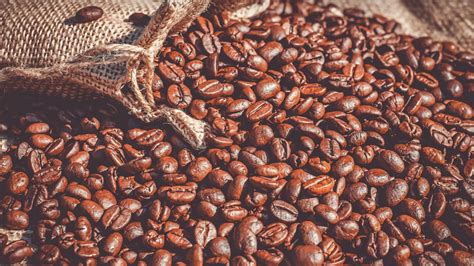 štruktúra kávového zrna