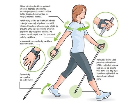Ilustrácia: Žena s palicami pre nordic walking v horskom prostredí