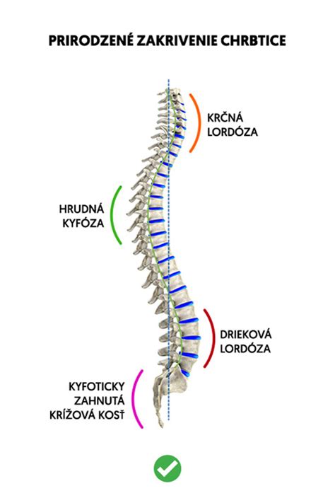 infografika znázorňujúca vplyv nadváhy na zakrivenie chrbtice a zmenu ťažiska tela