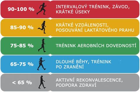 infografika: Zóny tepovej frekvencie a ich účel (regenerácia, spaľovanie tukov, vytrvalosť, anaeróbna, maximálna)