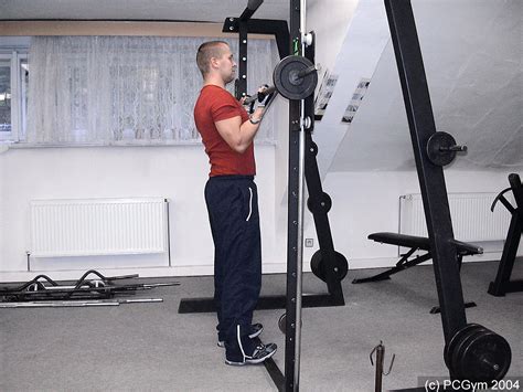 Ilustrácia porovnávajúca komplexný cvik (drep) s izolovaným cvikom (bicepsový zdvih)