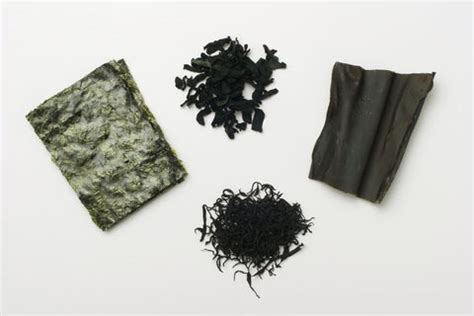 Tematické foto: rôzne druhy morských rias, ako napríklad Kombu, Nori, Wakame