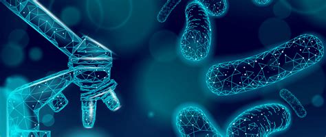 Ilustrácia črevného mikrobiómu s rôznymi druhmi baktérií.