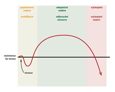 Infografika znázorňujúca 3 fázy všeobecného adaptačného syndrómu (GAS)