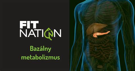 Infografika: Faktory ovplyvňujúce bazálny metabolizmus