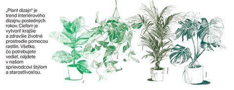 Ilustrácia rastlín využívajúcich sekundárne metabolity na obranu proti hmyzu