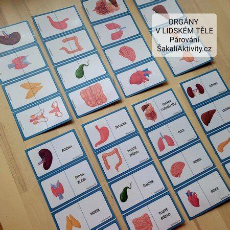 schéma: ako obezita ovplyvňuje rôzne orgány a systémy v tele dieťaťa