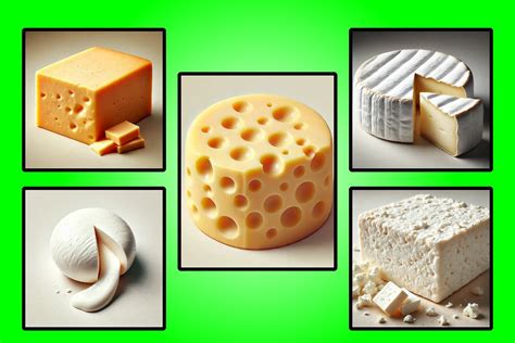 Ilustrácia: Rôzne druhy mäkkých syrov s bielou plesňou