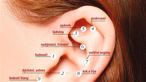 Detailná schéma akupunktúrnych bodov na uchu