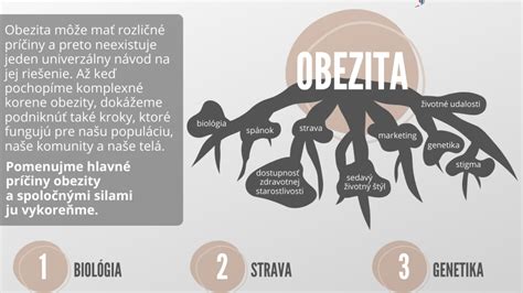 schéma: príčiny obezity a ich riešenie