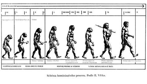 Schéma vývoja človeka od paleolitu po súčasnosť s ilustráciou stravy v rôznych obdobiach