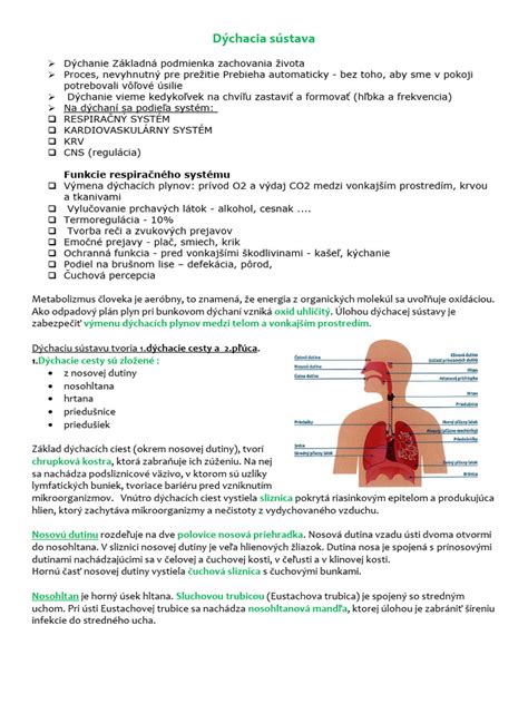 ilustrácia bránicového dýchania v ľahu