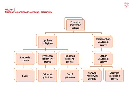 Schéma štruktúry obličky s nefrónmi a hlavnými časťami