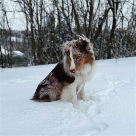 Vtipná koláž ukazujúca skupinu priateľov, kde jeden chudne a ostatní ho 