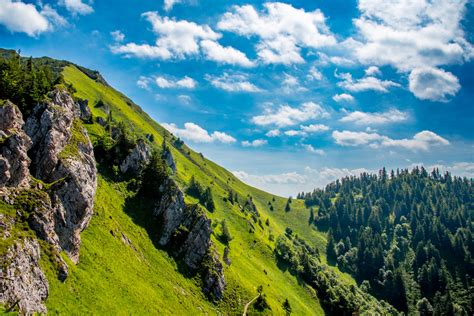 Tematické foto: človek premýšľa nad výberom potravín