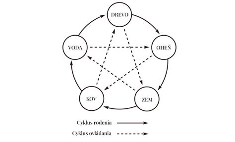 Infografika: Prepojenie orgánov podľa TČM a ich vplyv na váhu