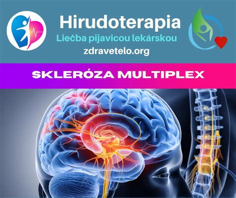 Infografika: Mechanizmus fungovania glymfatického systému v mozgu