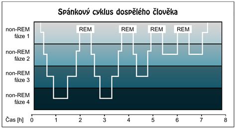 Ilustrácia znázorňujúca cyklus spánku a regenerácie