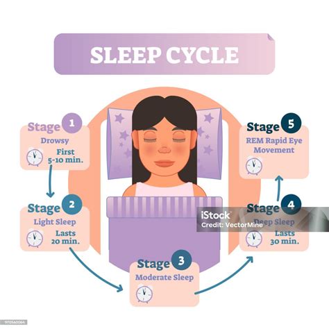 Ilustrácia znázorňujúca zdravý spánkový cyklus.